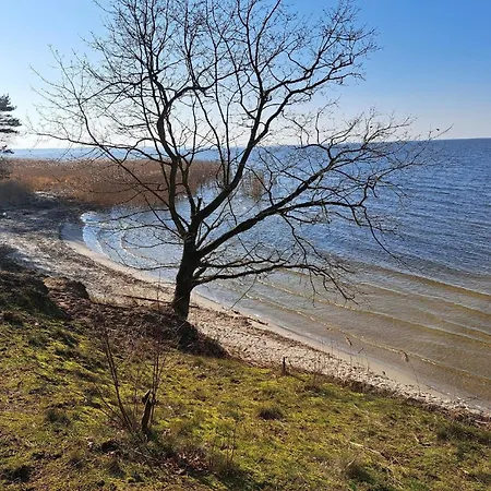 Prázdninový dům Mit Terrasse Mitten Im Gruenen Altwarp
