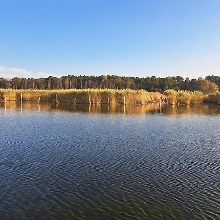 Prázdninový dům Mit Terrasse Mitten Im Gruenen Altwarp