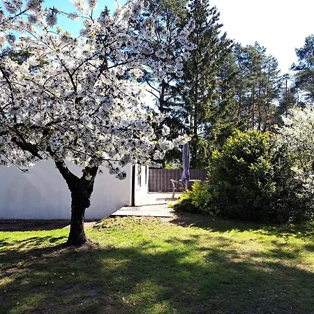 Mit Terrasse Mitten Im Gruenen Prázdninový dům *